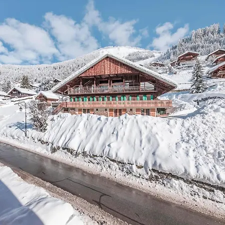 Apartment Spacieux A Avec Vue Sur La Montagne Et Terrasse Privee Chatel